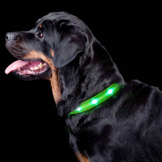 NightPaws™ LED Luminous USB Collar