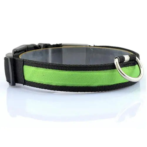 NightPaws™ LED Luminous USB Collar